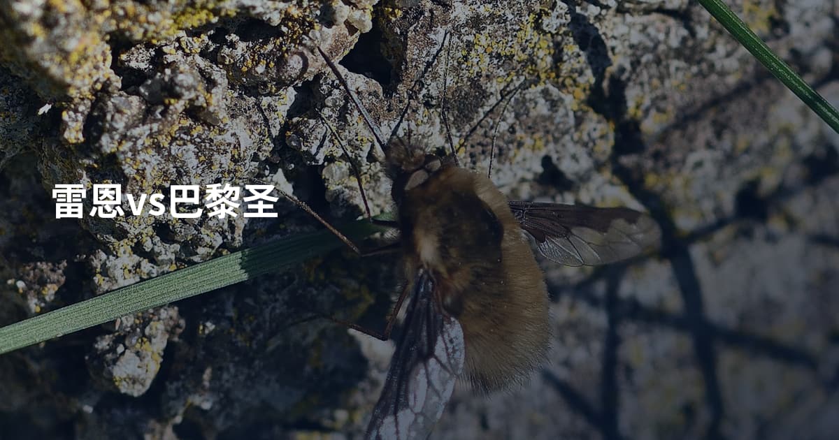 雷恩vs巴黎圣