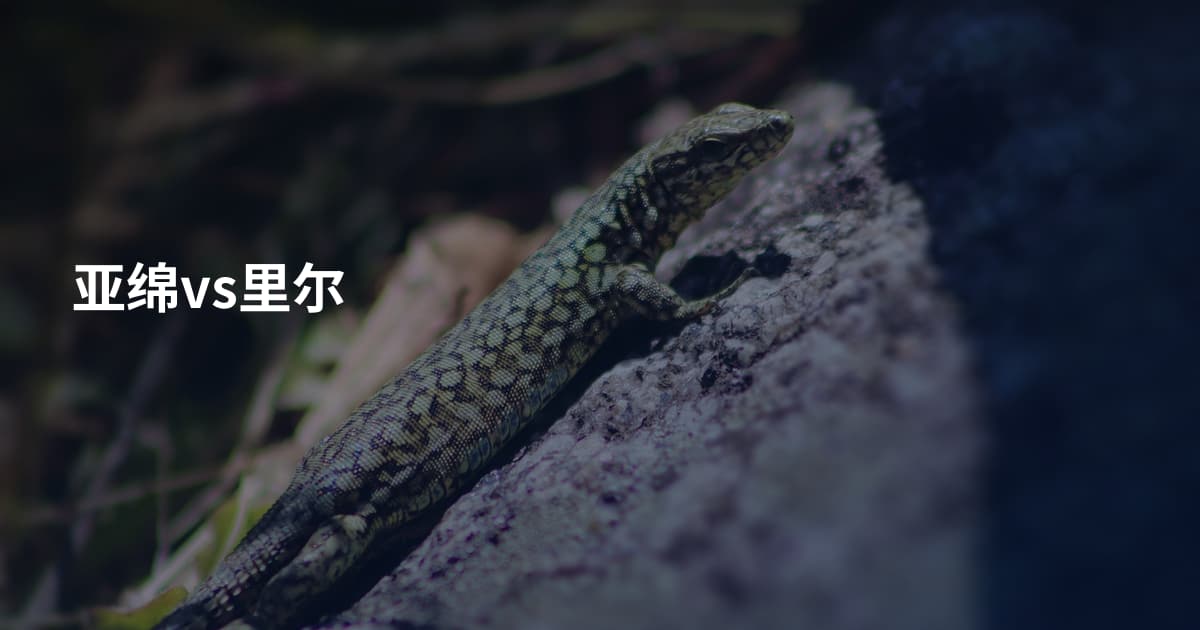 亚绵vs里尔