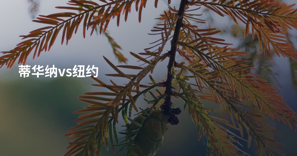 蒂华纳vs纽约