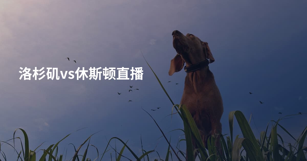 洛杉矶vs休斯顿直播
