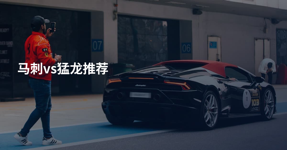马刺vs猛龙推荐