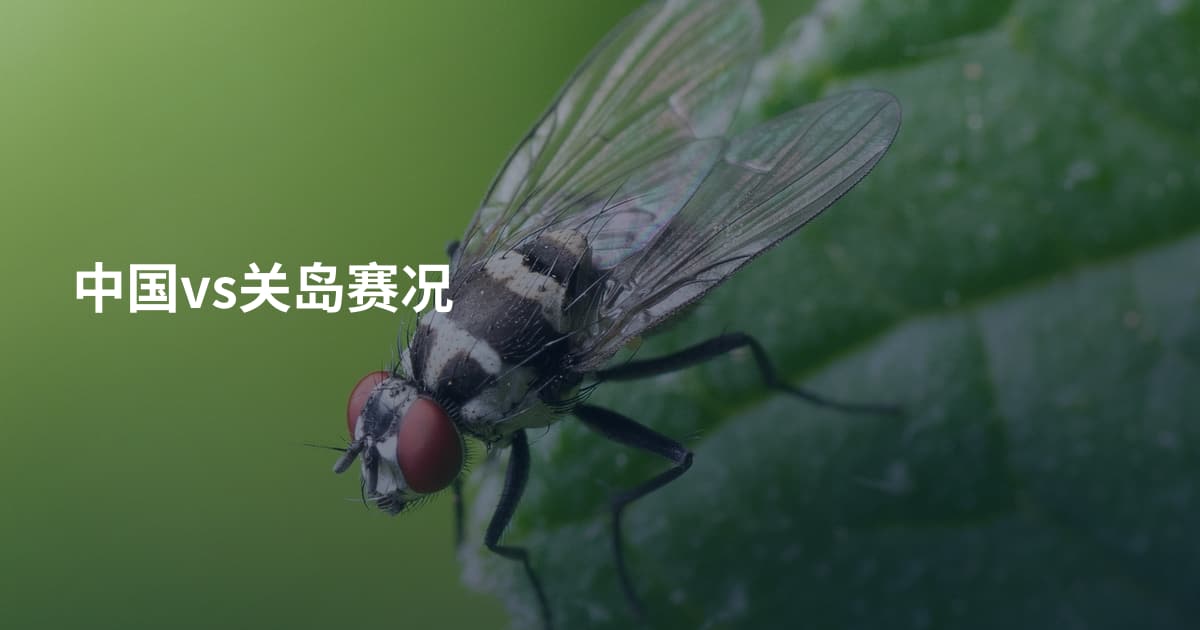 中国vs关岛赛况