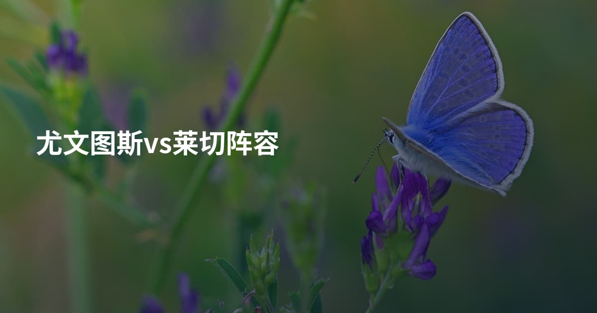 尤文图斯vs莱切阵容