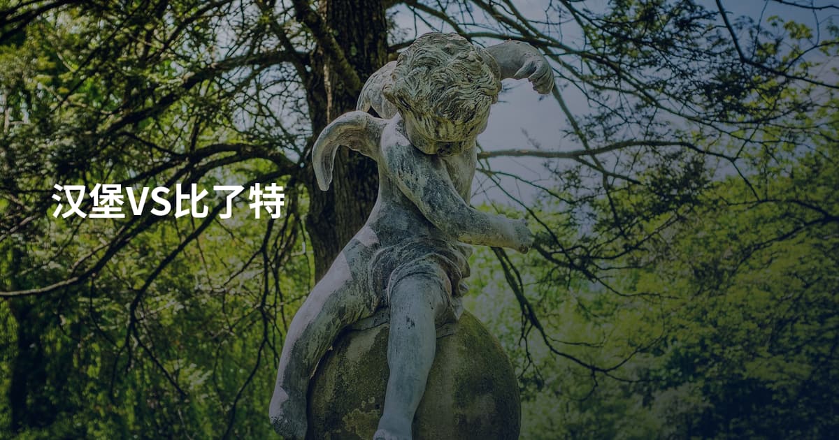 汉堡VS比了特