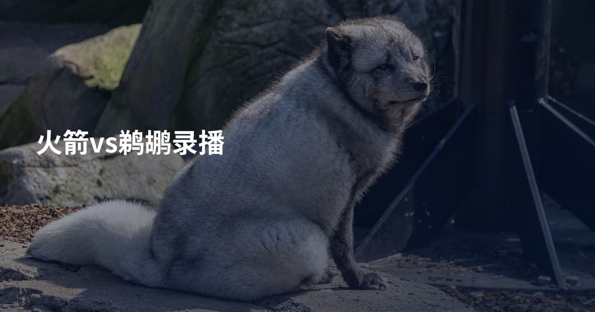 火箭vs鹈鹕录播