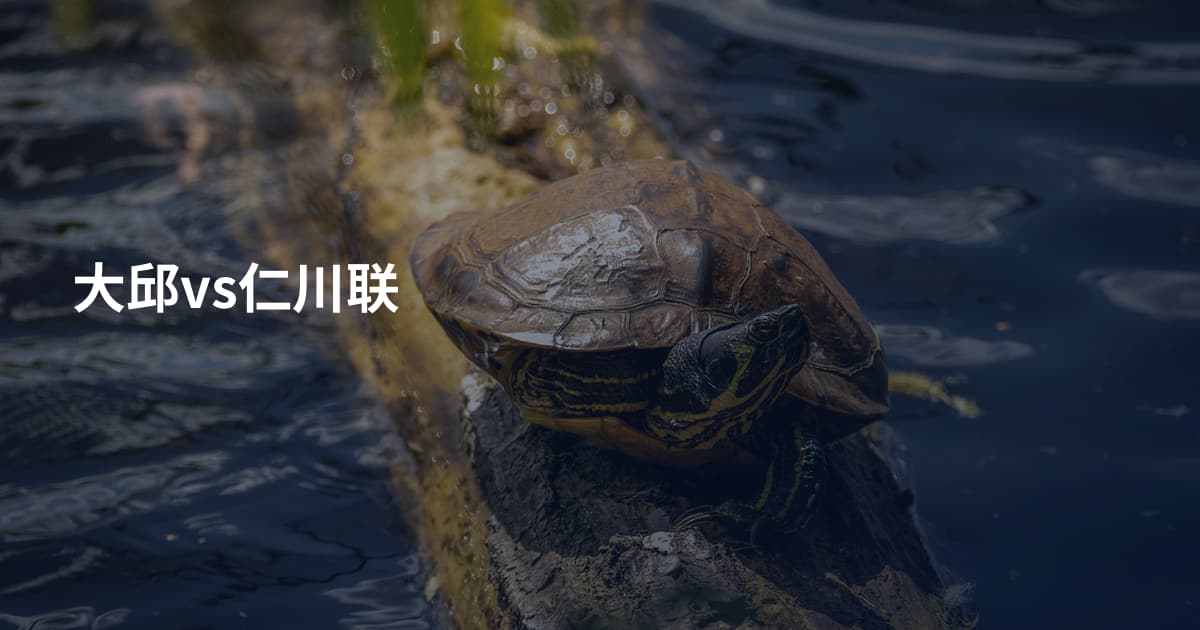 大邱vs仁川联
