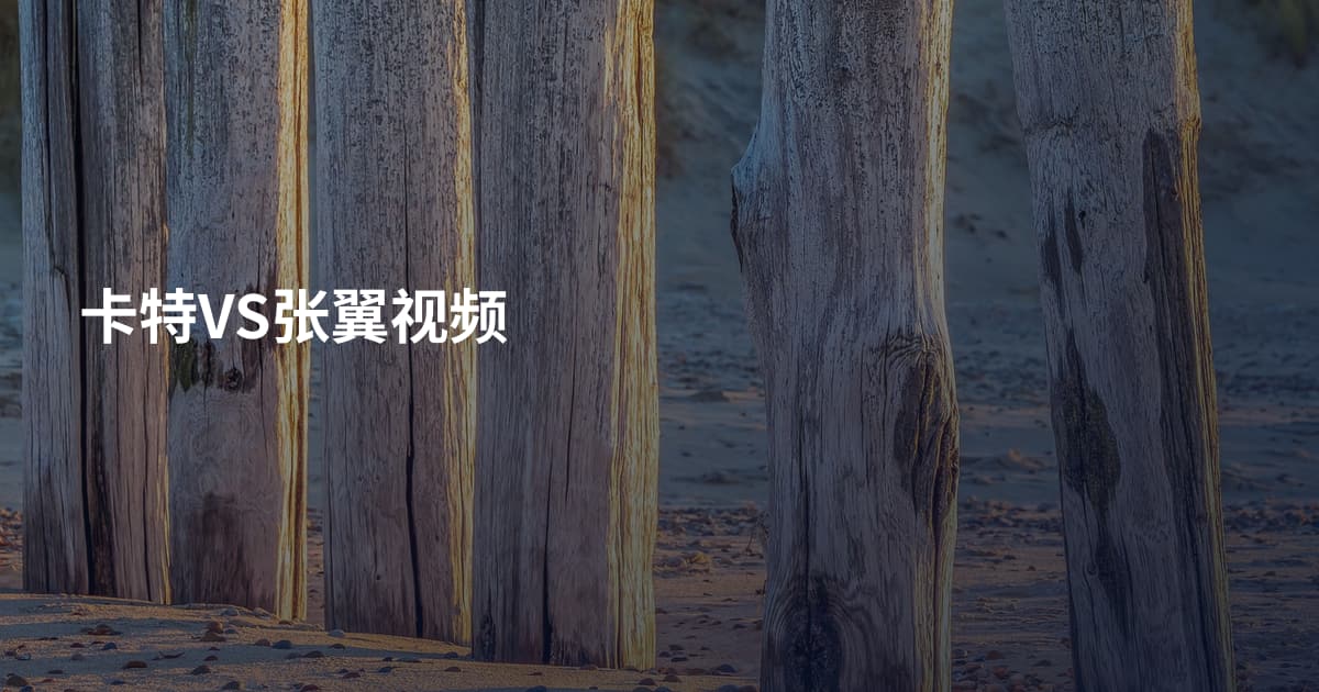 卡特VS张翼视频
