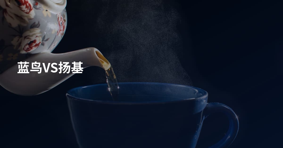 蓝鸟VS扬基