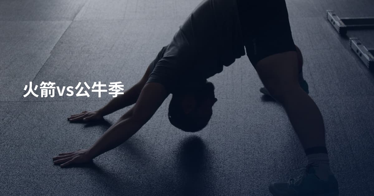 火箭vs公牛季