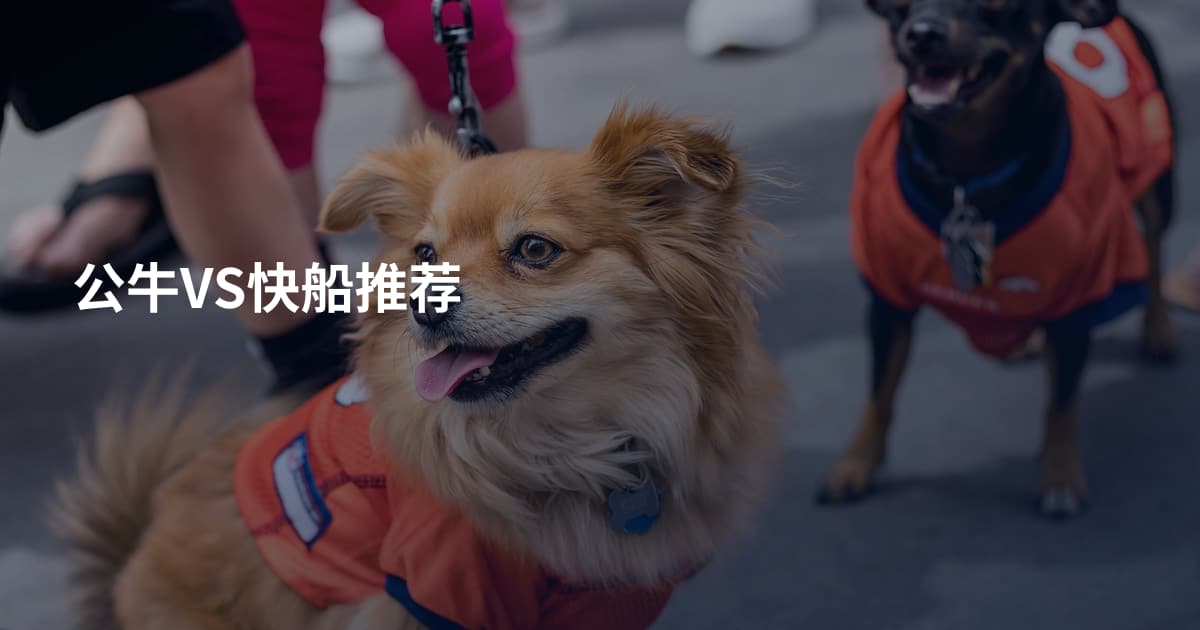 公牛VS快船推荐