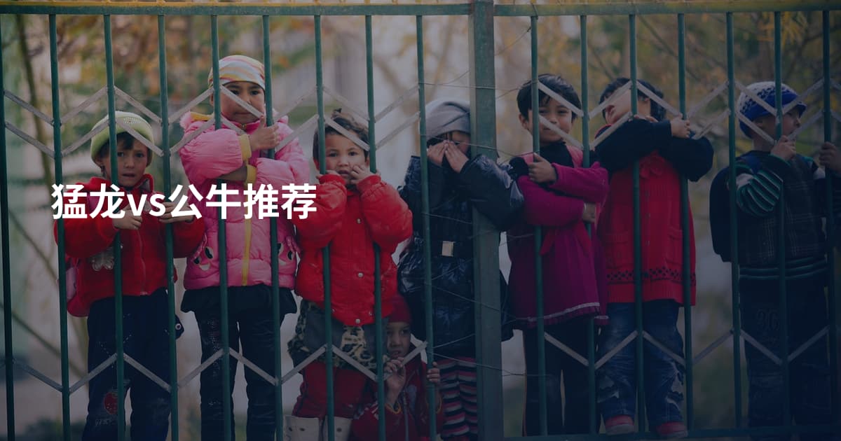 猛龙vs公牛推荐
