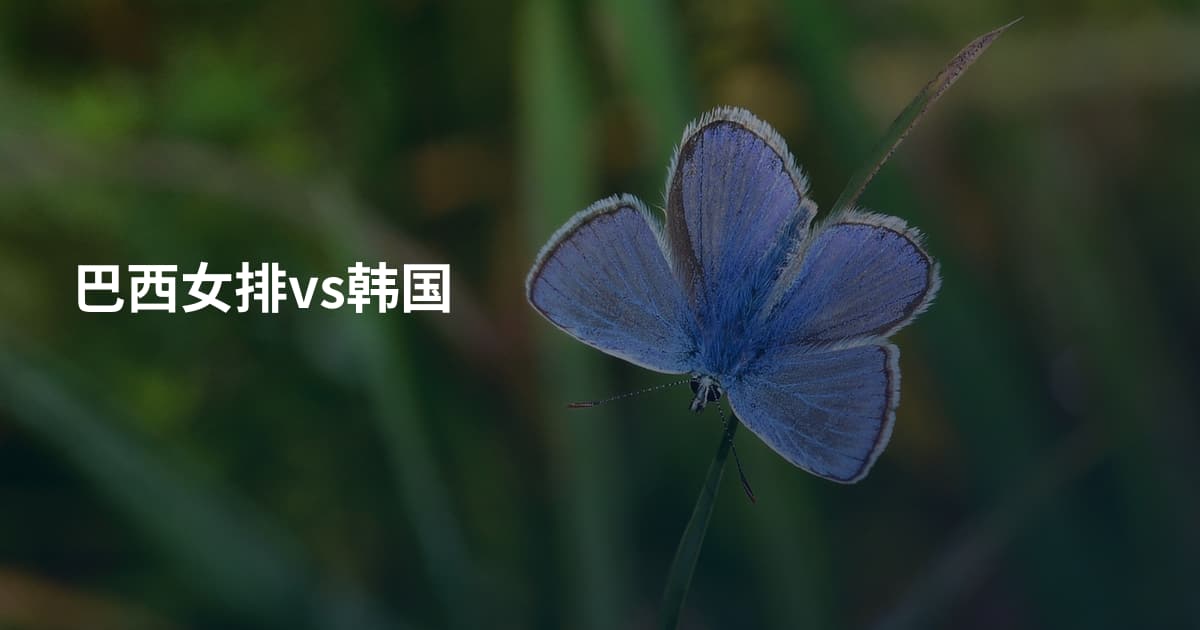 巴西女排vs韩国