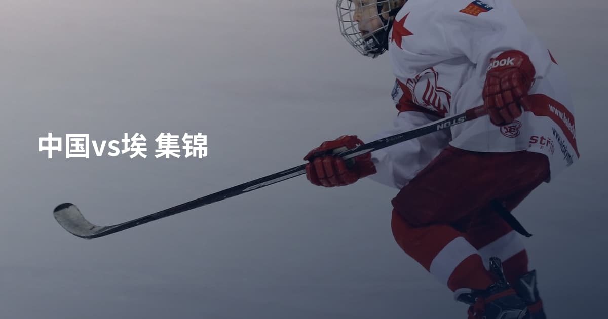 中国vs埃 集锦