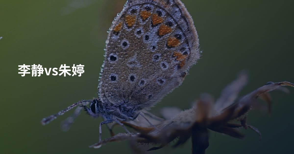 李静vs朱婷