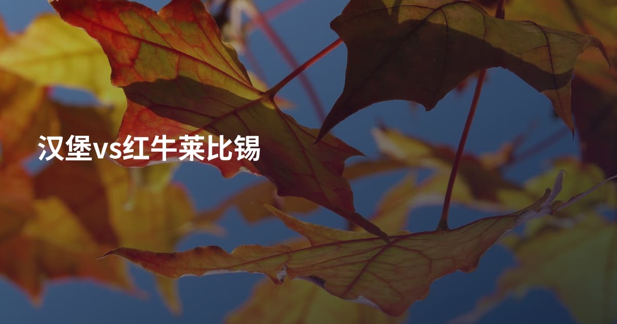 汉堡vs红牛莱比锡