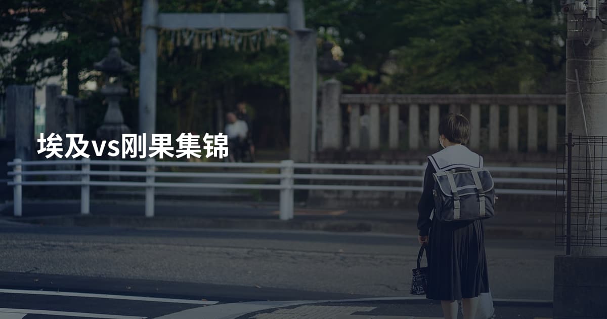 埃及vs刚果集锦