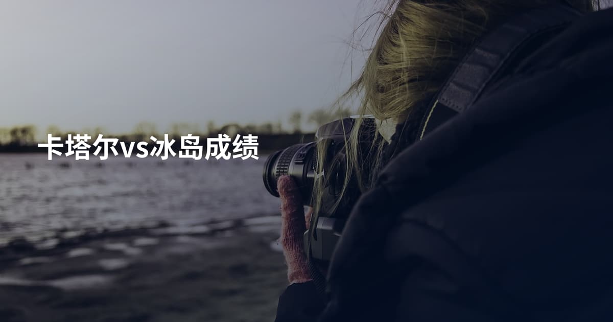 卡塔尔vs冰岛成绩