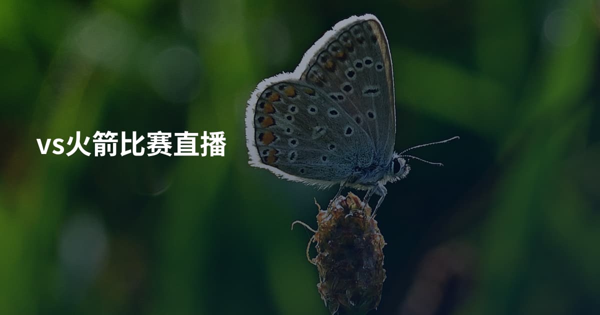 vs火箭比赛直播