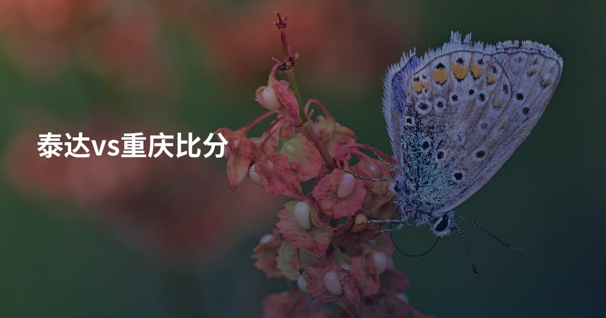 泰达vs重庆比分