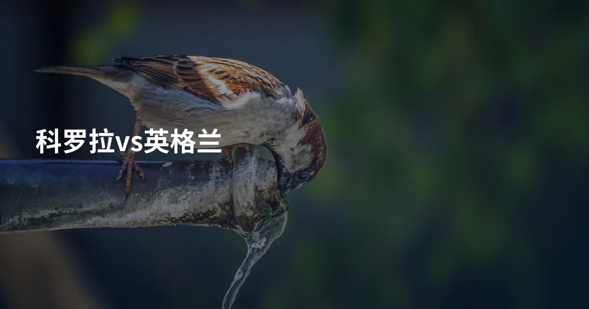 科罗拉vs英格兰