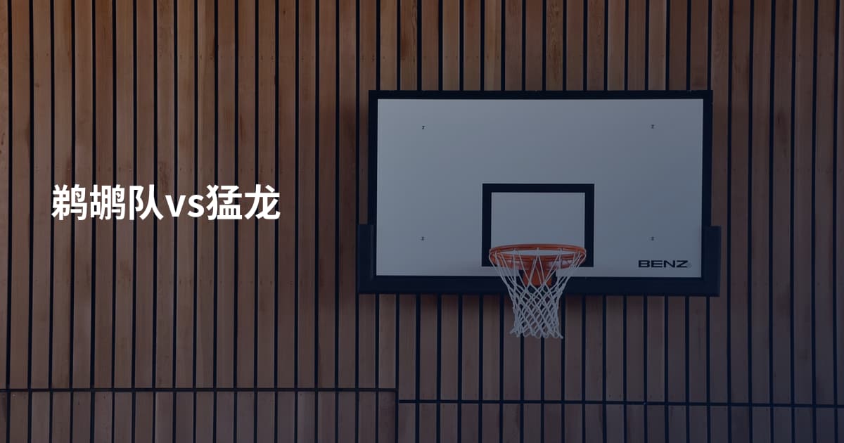 鹈鹕队vs猛龙