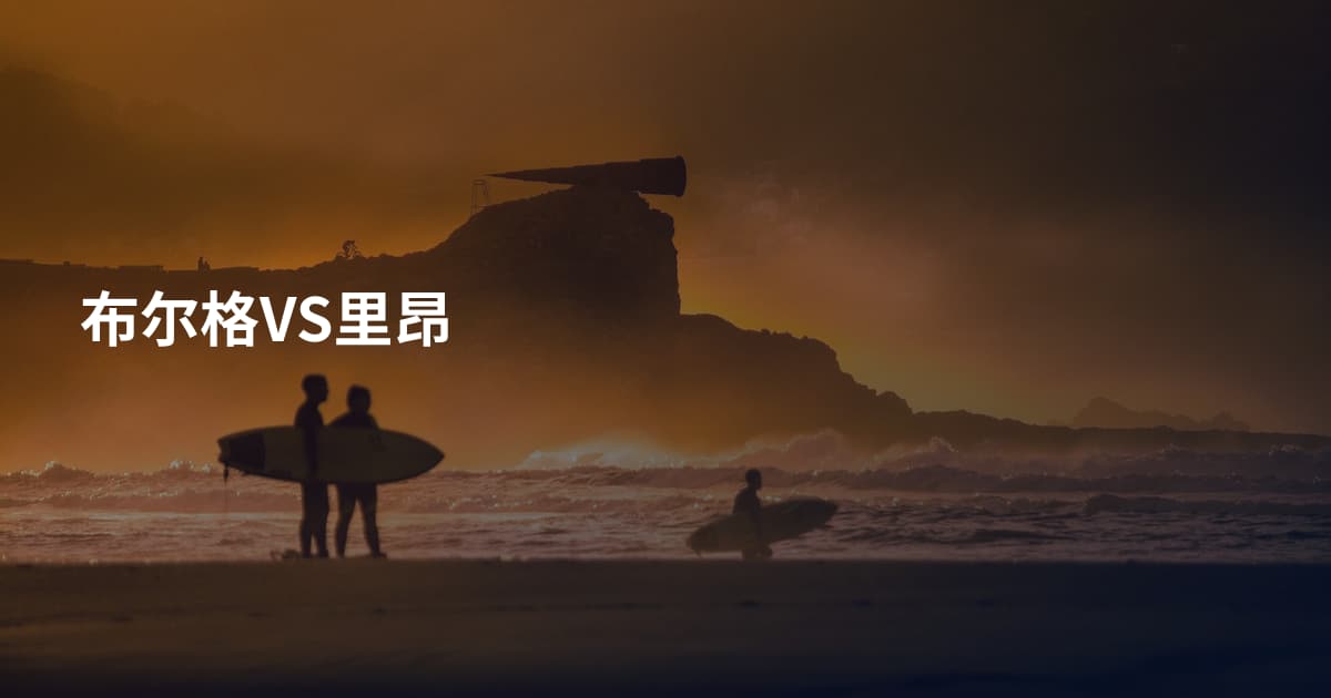 布尔格VS里昂