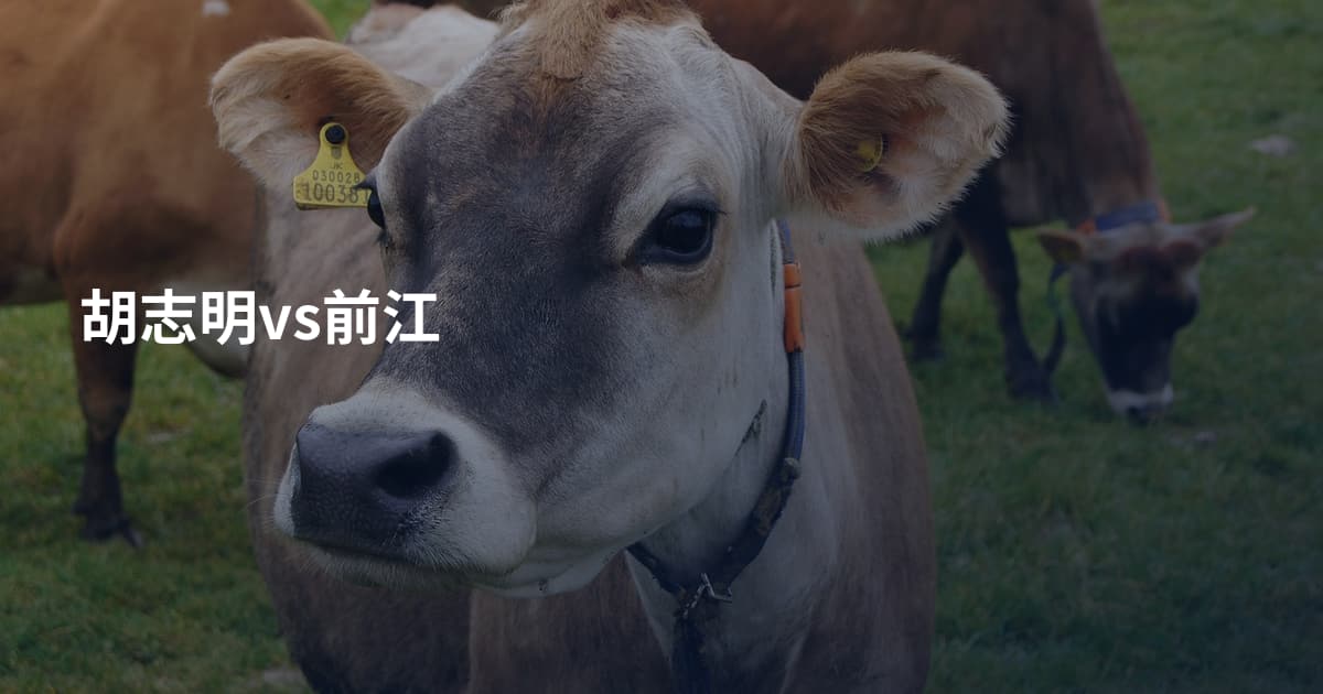 胡志明vs前江