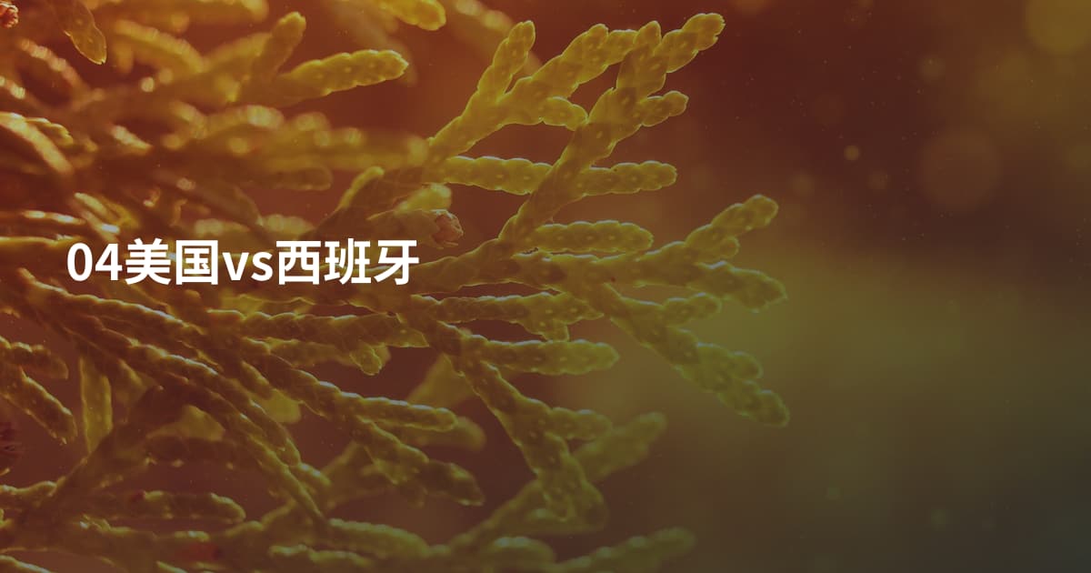 04美国vs西班牙