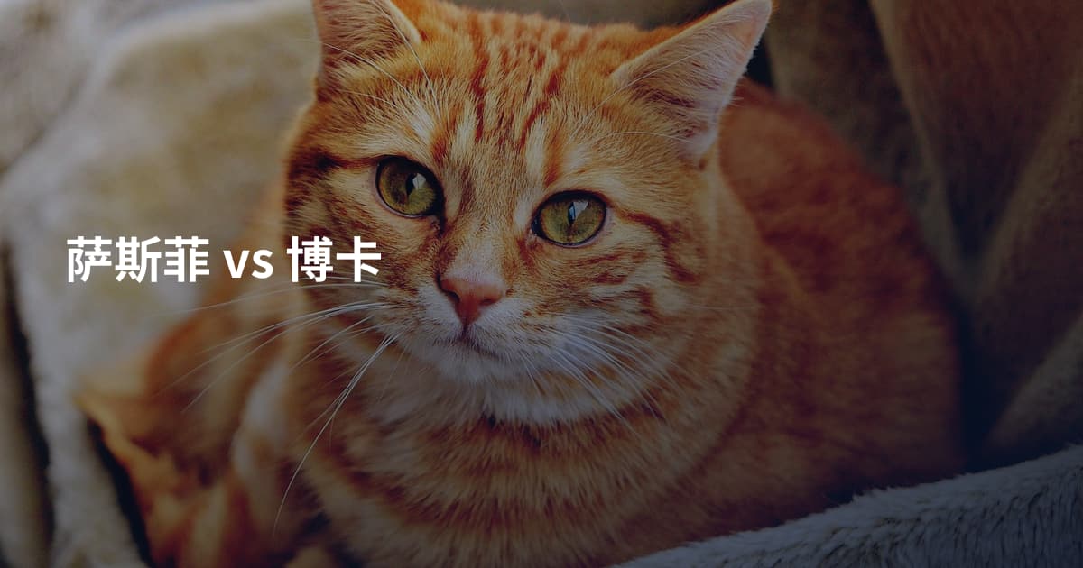 萨斯菲 vs 博卡