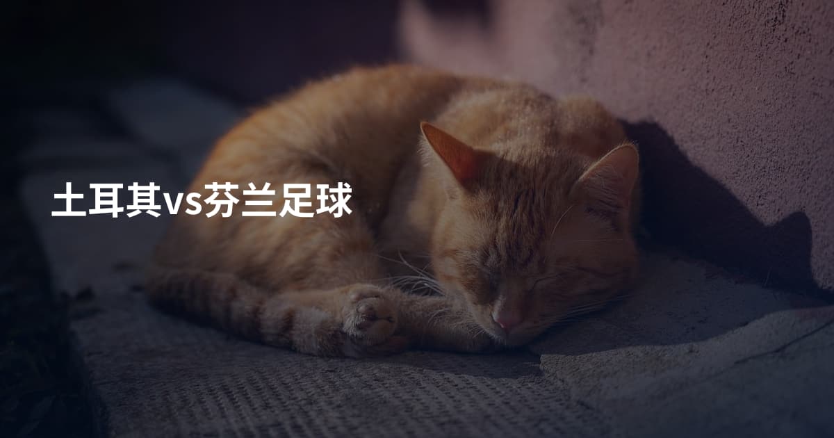 土耳其vs芬兰足球