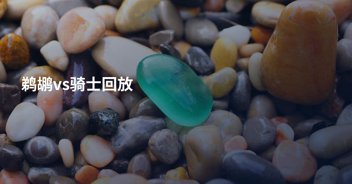 鹈鹕vs骑士回放