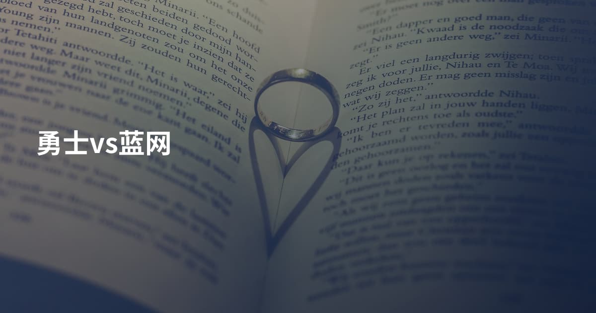 勇士vs蓝网