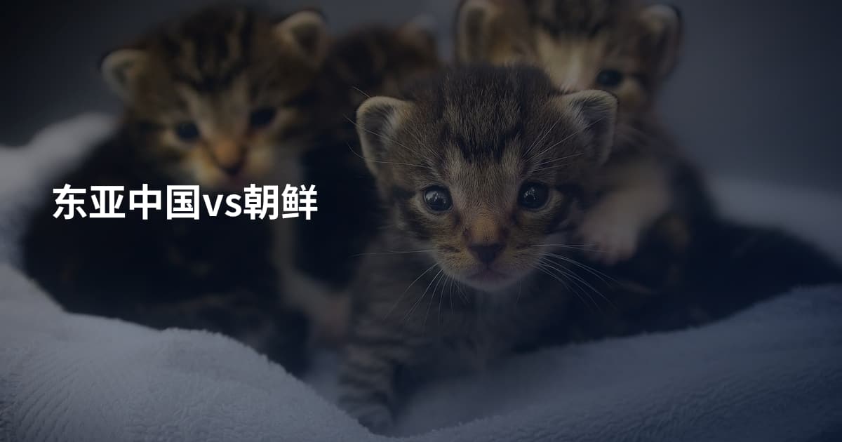 东亚中国vs朝鲜