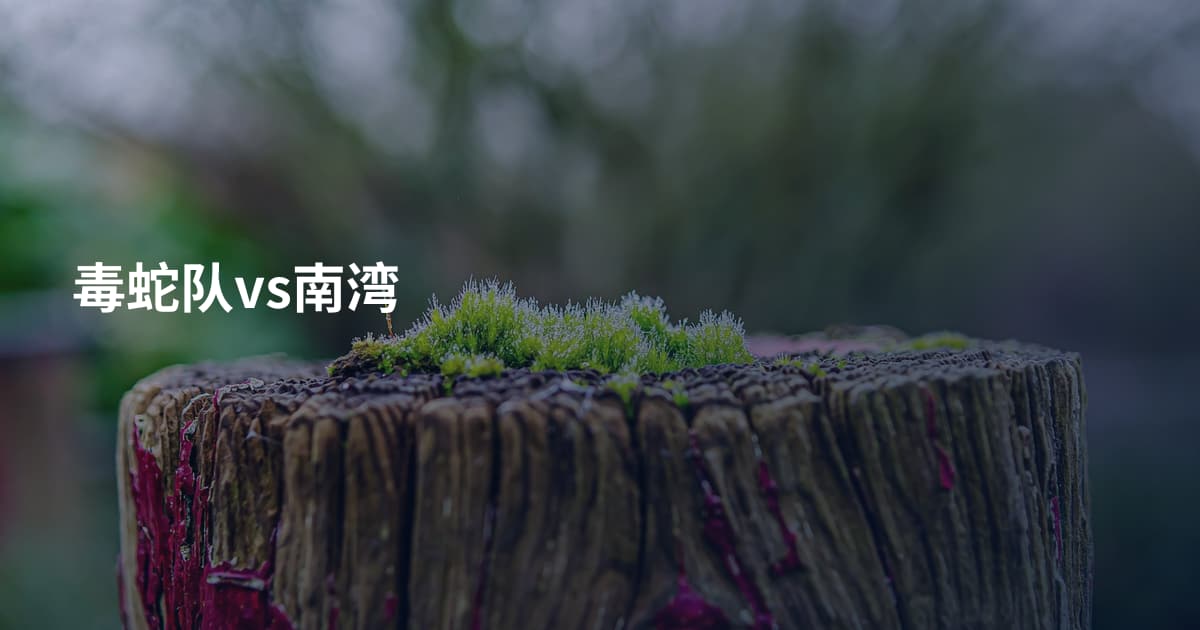 毒蛇队vs南湾