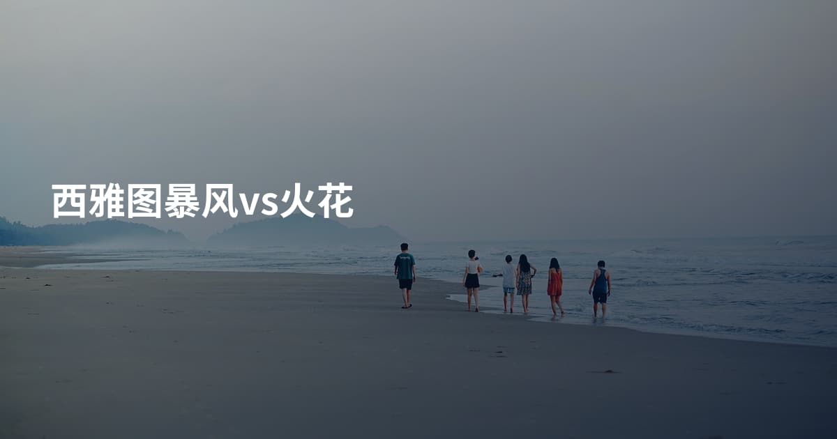 西雅图暴风vs火花