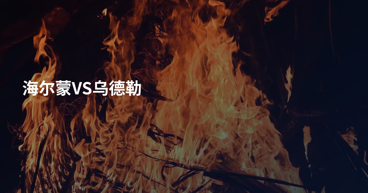 海尔蒙VS乌德勒