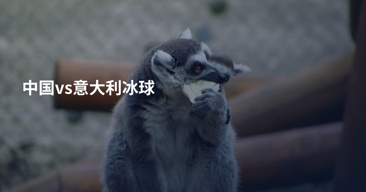 中国vs意大利冰球
