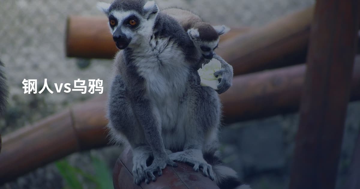 钢人vs乌鸦