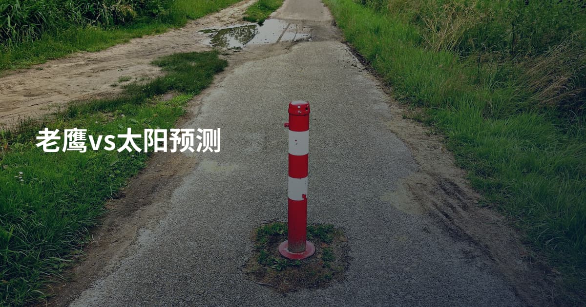 老鹰vs太阳预测