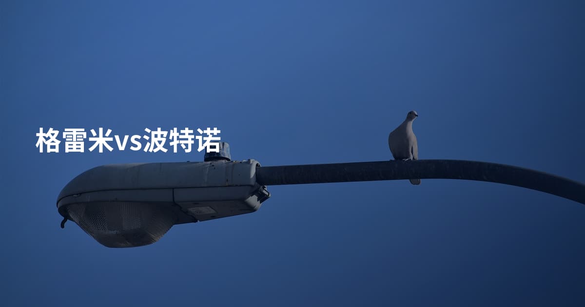 格雷米vs波特诺