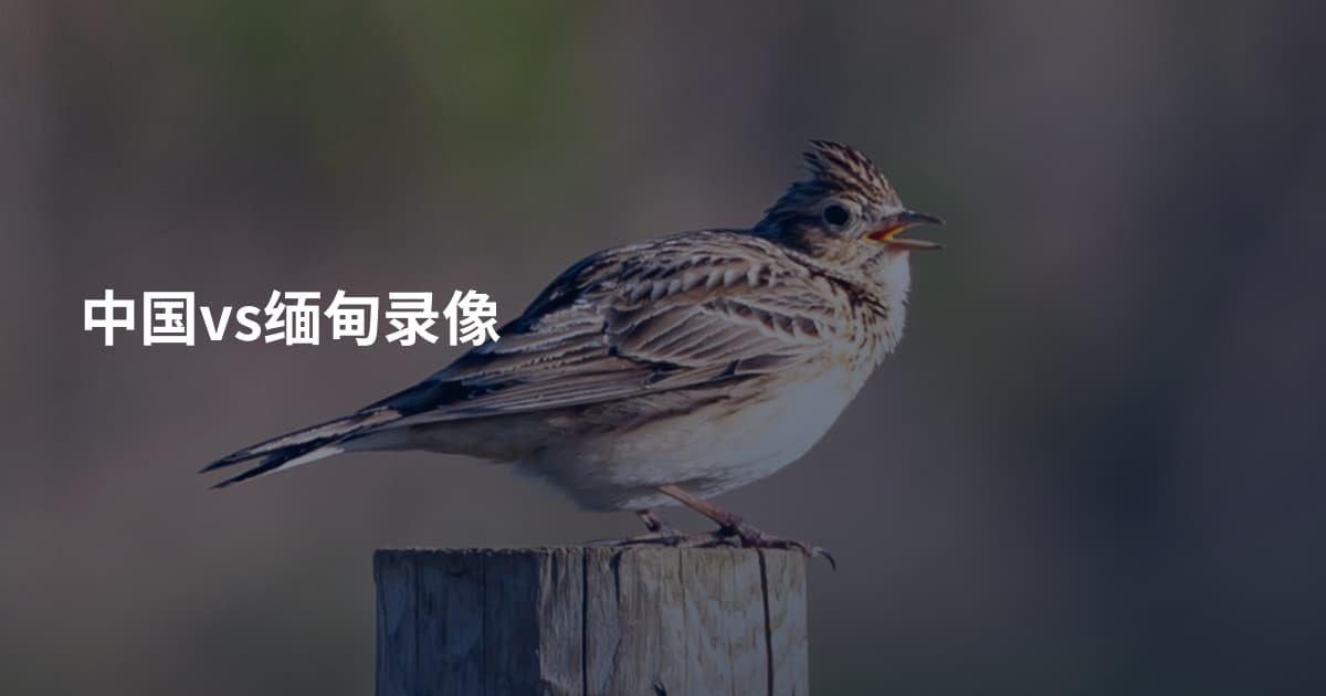 中国vs缅甸录像