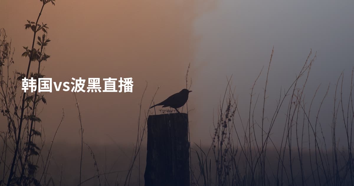 韩国vs波黑直播