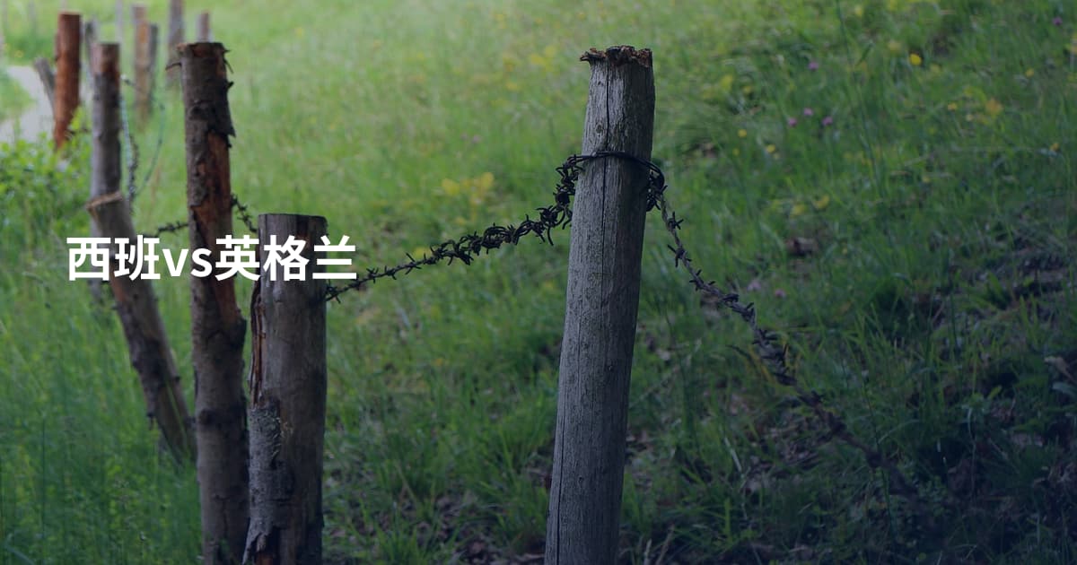 西班vs英格兰