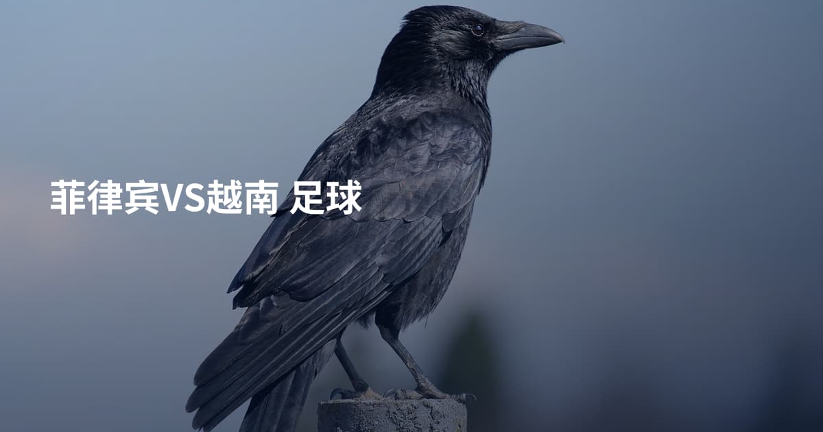 菲律宾VS越南 足球