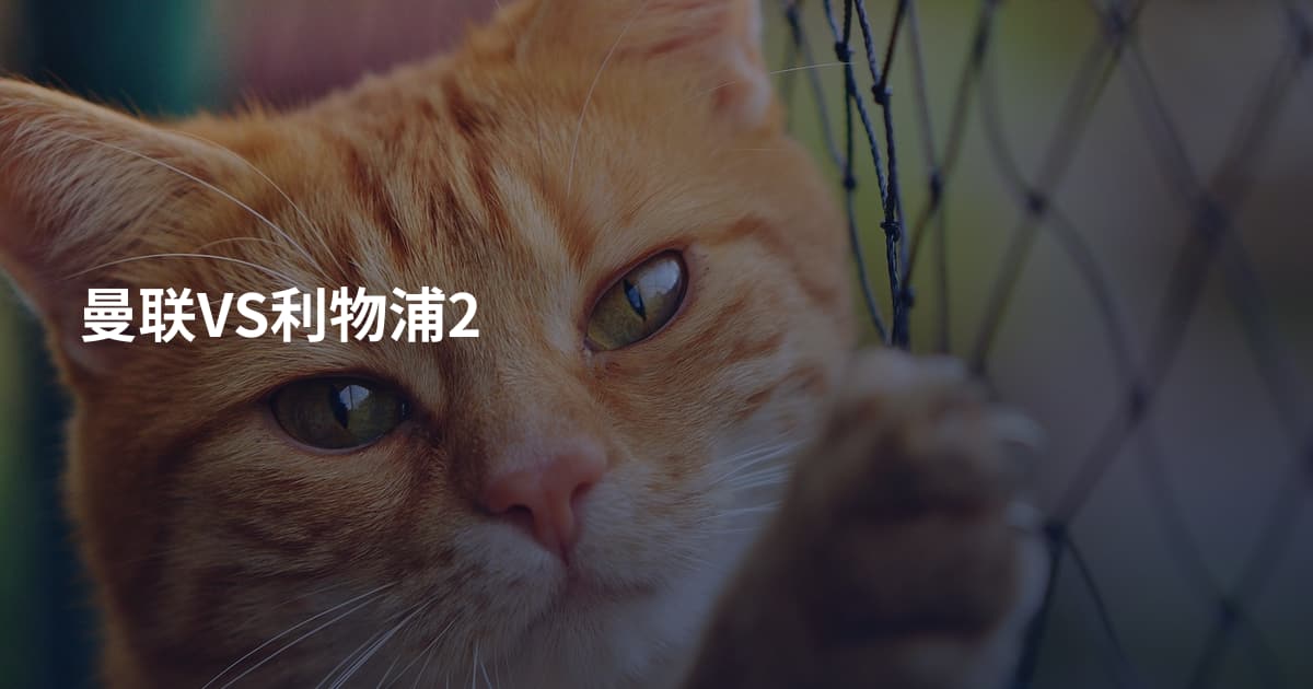 曼联VS利物浦2