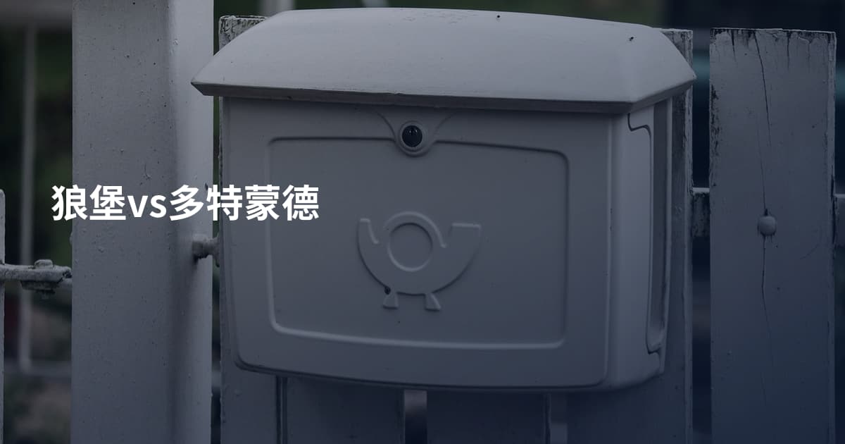 狼堡vs多特蒙德