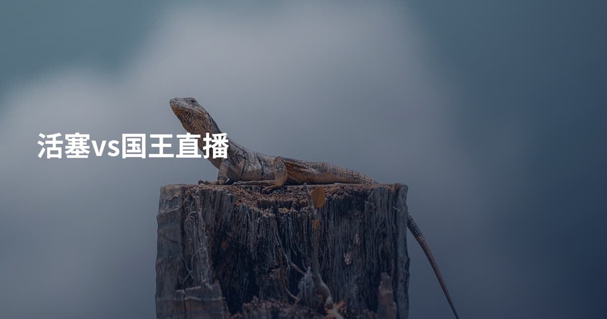 活塞vs国王直播