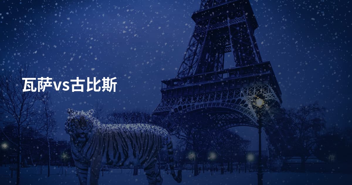瓦萨vs古比斯