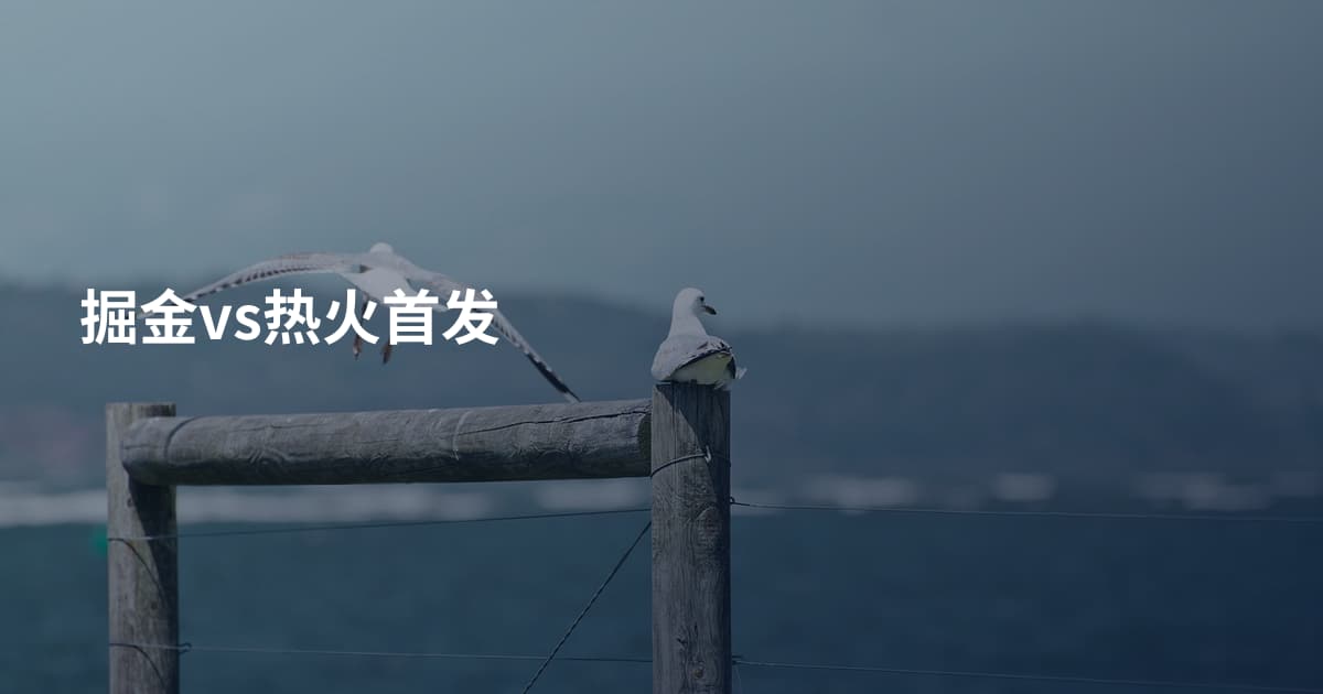 掘金vs热火首发