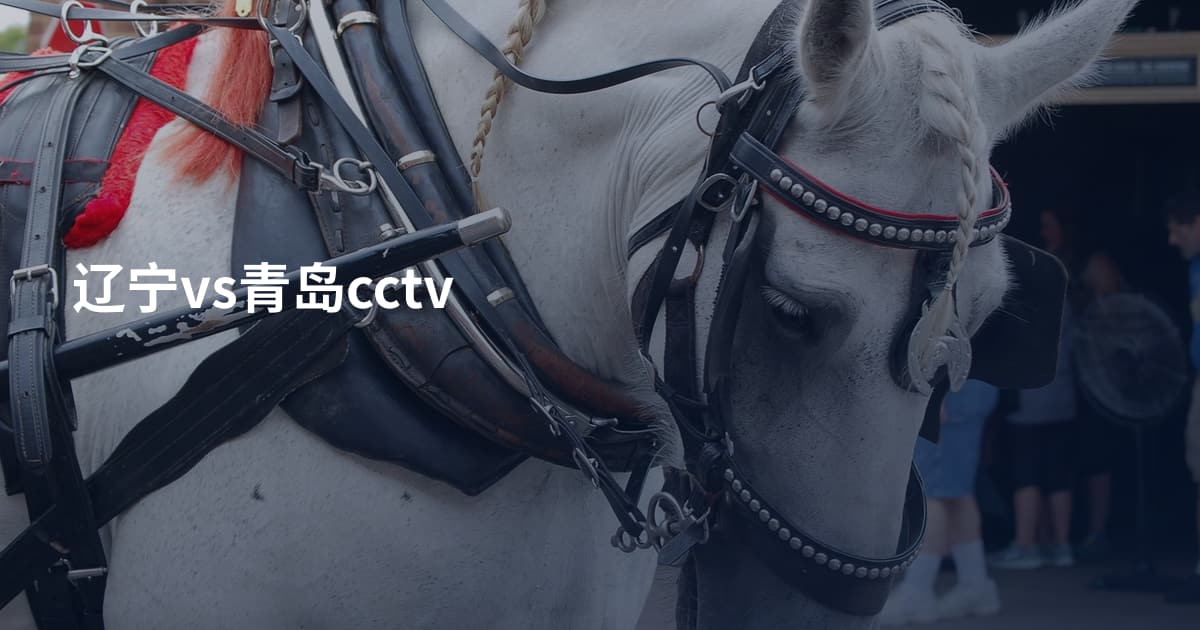 辽宁vs青岛cctv